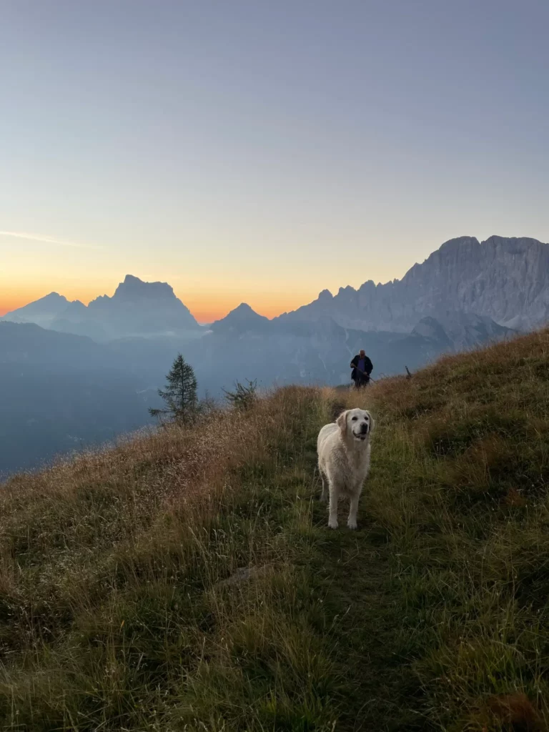 Immagine del sentiero per Raggiungere il Rifugio Sasso Bianco